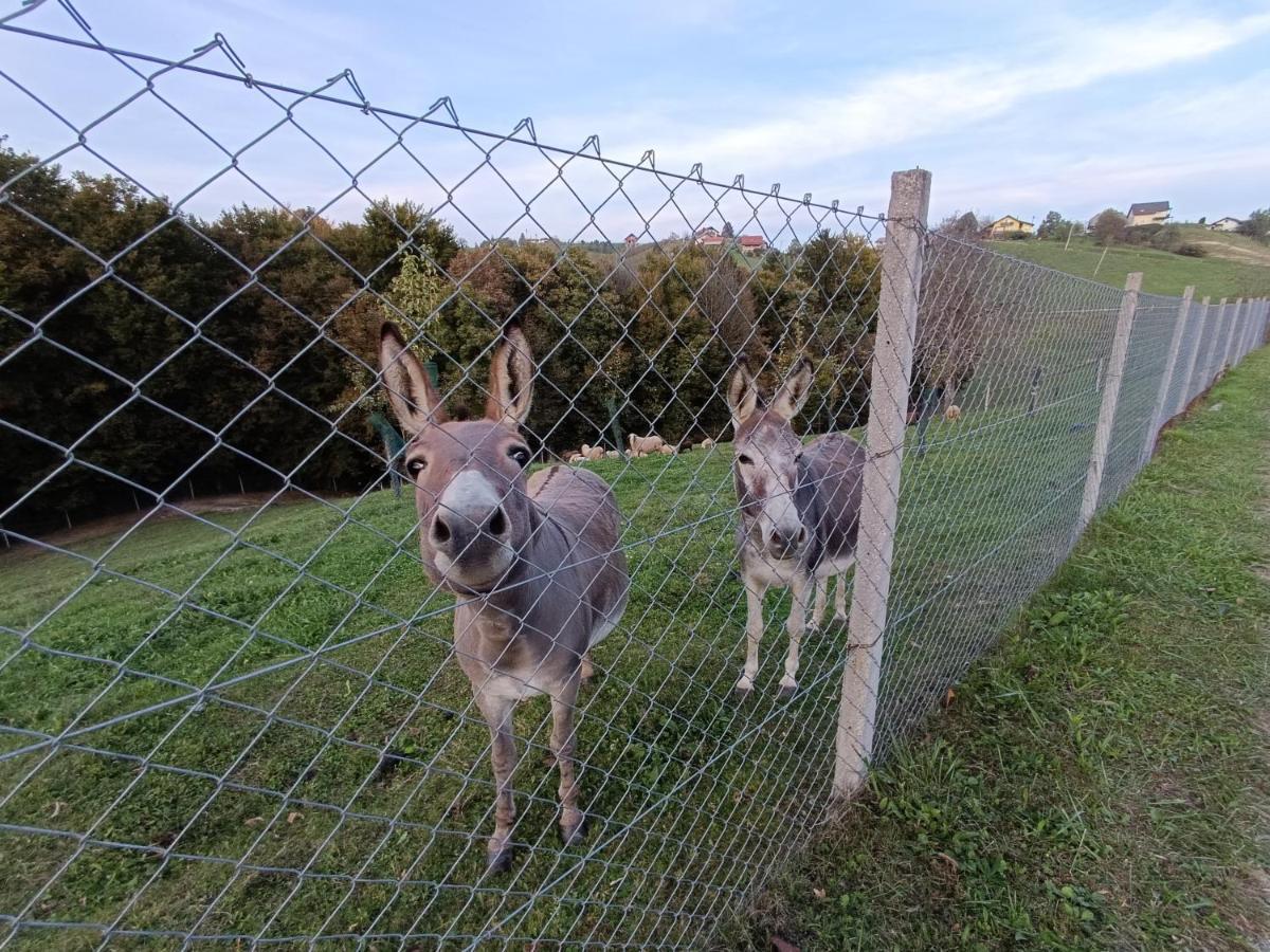Ferienwohnung Hiska Na Gorci Podčetrtek Exterior foto