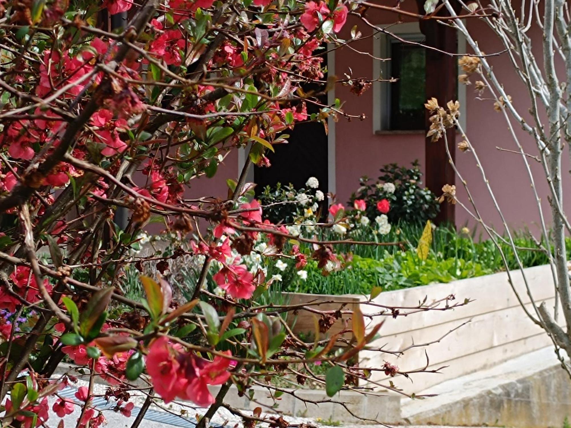 Ferienwohnung Hiska Na Gorci Podčetrtek Exterior foto