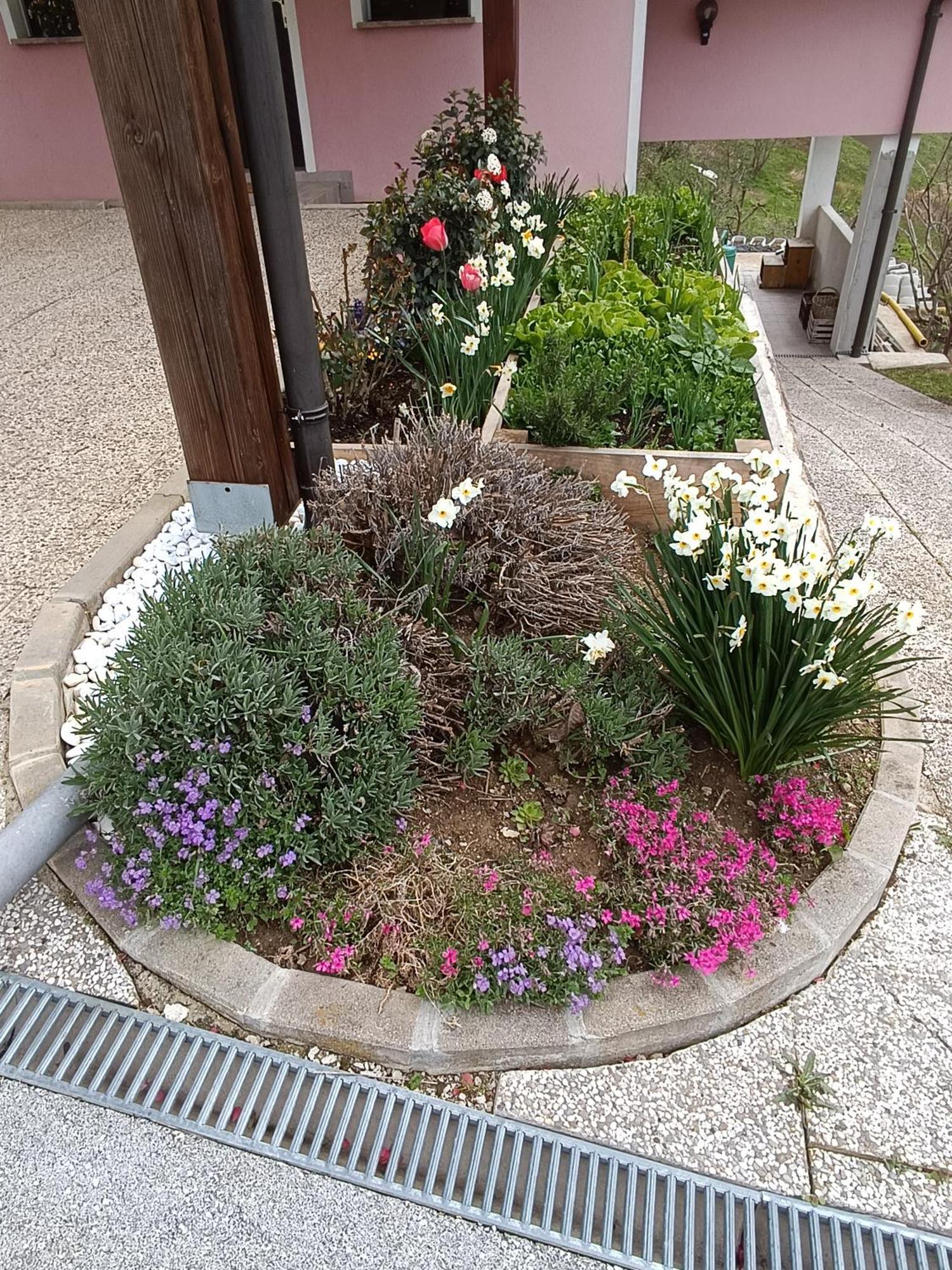 Ferienwohnung Hiska Na Gorci Podčetrtek Exterior foto